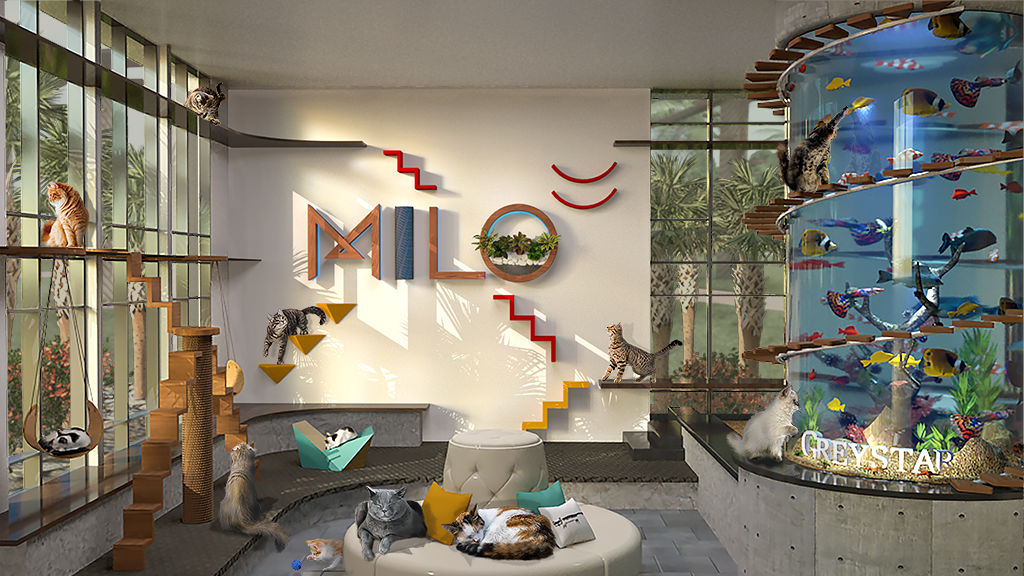 Pet lounge area at apartment community in Los Angeles